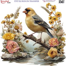 İstanbul Hobi Ütü ile Rub On Transfer Kağıdı 30X30CM RB-361