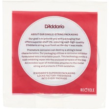Dora Shopping Daddario J2704 Klasik Gitar Teli, Classic Nylon, Normal Tensi
