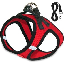 Dora Shopping Tasması Reflektörlü Kaçış Önleyici Gezdirme Tasması Reflektörlü & Göğüs Tasması (, Medium)