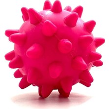 Dora Shopping Zilli Diş Kaşıma Ödül Maması Konulabilen Topu Oyuncağı