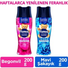 Yumoş Çamaşır Parfümü Begonvil 200G X1 + Çamaşır Parfümü Mavi Şakayık 200G X1