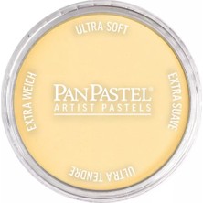 Panpastel Ultra Soft Artist Pastel Boya 910.5 Light Gold