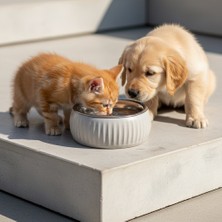 Lady Fify Kedi ve Köpek Için Organik Seramik Dış Yüzey ve Paslanmaz Çelik Iç Alana Sahip Mama / Su Kabı
