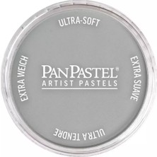 Panpastel Ultra Soft Artist Pastel Boya 921.5 Pewter