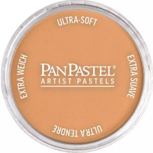 Panpastel Ultra Soft Artist Pastel Boya 930.5 Bronze