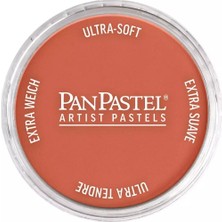 Panpastel Ultra Soft Artist Pastel Boya 931.5 Copper