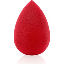 Dora Shopping Profashion Sponge