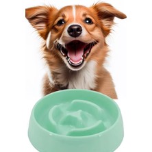 Dora Shopping Evcil Hayvan Yavaş Mama Yeme Kabı Yavaş Besleyici Mama Kabı Orta Boy 375 ml 1450