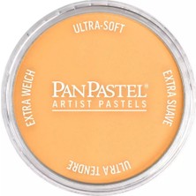 Panpastel Ultra Soft Artist Pastel Boya 952.5 Pearlescent Orange