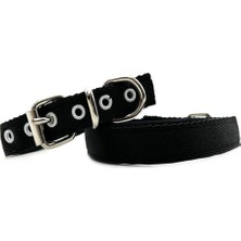 Dora Shopping Yumuşak Dokulu Küçük Irk Yavru Tasması Ebat