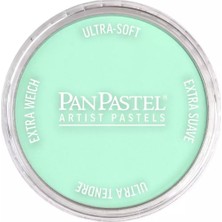 Panpastel Ultra Soft Artist Pastel Boya 956.5 Pearlescent Green