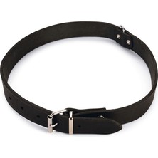 Dora Shopping Deri Evcil Hayvan Boyun Tasması, 27 Cm-10 Mm,