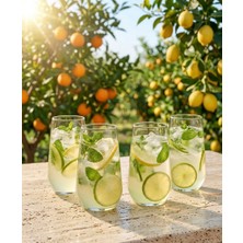 Bienca Borosilikat Cam Bardak Seti 4’lü 450ML – Meşrubat , Limonata & Su Bardağı - Isıya Dayanıklı & Estetik Bardak