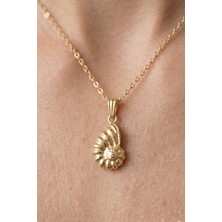 Aurrari Gold Deniz Kabuğu Kolye 45cm