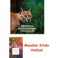 Tübitak Yayınları Anadolu Doğasından Yansımalar + Masallar