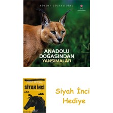 Tübitak Yayınları Anadolu Doğasından Yansımalar + Siyah Inci
