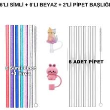 Stanley Quencher 1.18L Uyumlu Yeni Nesil Pipetli Termos Uyumlu 2 ADET 6'lı Pipet 2 ADET PİPET TIPASI