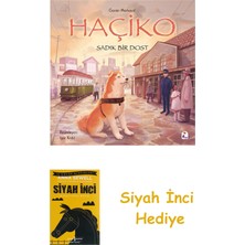 İndigo Kitap Haçiko – Sadık Bir Dost + Siyah Inci