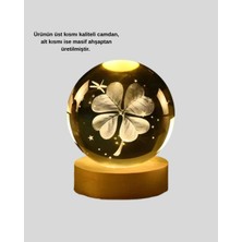 GIGA Yonca Bitki Figürlü LED Işıklı Cam Küre USB Ahşap Standlı Gece Lambası