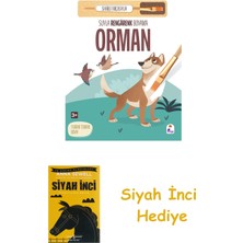 İndigo Kitap Suyla Rengarenk Boyama - Orman + Siyah Inci