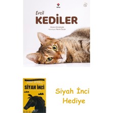 Tübitak Yayınları Evcil Kediler + Siyah Inci