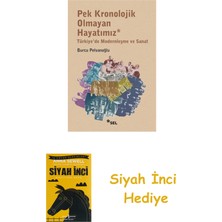 Sel Yayıncılık Pek Kronolojik Olmayan Hayatımız - Türkiye'de Modernleşme ve Sanat + Siyah Inci