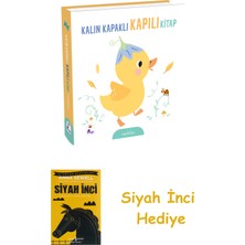 İndigo Kitap Kalın Kapaklı Kapılı Kitap - Renkler (Ciltli) + Siyah Inci