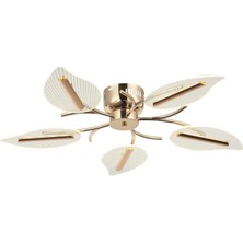 Dora Shopping Karden 5' Ledli Plafonyer 36W 3000K