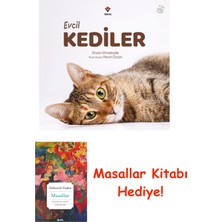 Tübitak Yayınları Evcil Kediler + Masallar
