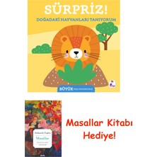 İndigo Kitap Sürpriz ! – Doğadaki Hayvanları Tanıyorum (Ciltli) + Masallar