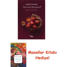 Sel Yayıncılık Harvard Meydanı + Masallar