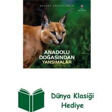 Tübitak Yayınları Anadolu Doğasından Yansımalar + Dünya Klasiği