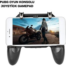 Renklime W16 Pubg Kol