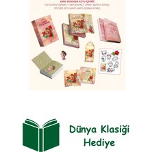 Ren Kitap Kırık Desenler (Ciltli - Kutulu) + Dünya Klasiği