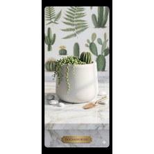 Poliva Home 4 Litre Atlas Çiçek ve Bitki Saksısı Kaliteli Dayanıklı Plastik Bitki Saksısı 4 Litre