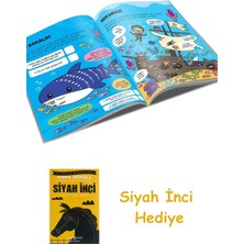 İndigo Kitap Karanlıkta Parlayan Kitaplar - Okyanus + Siyah Inci
