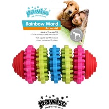 Dora Shopping Pawise Rainbow Dişli 11 cm