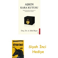 Destek Yayınları Aşkın Kara Kutusu + Siyah Inci