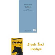 Sel Yayıncılık Denizci + Siyah Inci