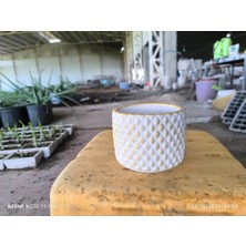 Beton Orkide Bonsai ve Aranjman Saksısı