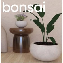 Fiber Stone (Hafif Beton) Saksı / Model : Bonsai