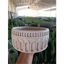 Antik Beyaz Kemerli Roma Tarzı Saksı 21*10 cm ve Para Çiçeği