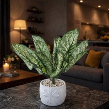 Beyaz Saksılı Yapay Melek Kanadı Bitkisi – Dekoratif Salon Ofis Masa Üstü Yapay Çiçek