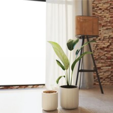 Hafif Beton Saksı Liner 12LT