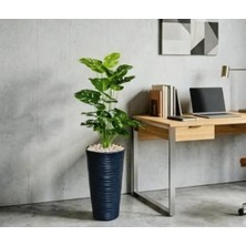 160 cm Yapay Devetabanı Monstera - Dev Boy, Siyah Modern Dekoratif Saksılı Yapay Çiçek
