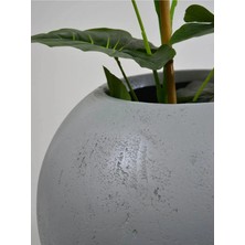Fiberglas 70 Çap Küre Fiber Beton Görünümlü Saksı