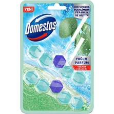 Domestos Wc Temizleyici Blok 2x5'li Güç Yağmur Ferahlığı