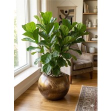 Lüks Dekoratif Küre Saksı - 35 cm Antik Bakır Görünümlü Fiberglass - Kırılmaz Hafif Salon Saksısı