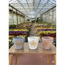 Lotus Desenli Dekoratif Çiçek ve Orkide Saksı - 3 Farklı Renk