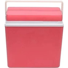 Ice Pack 2 Adet Icepeak Taşıma Çantası Buzluk 25 L